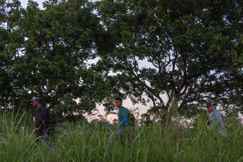 Honduran migrants on their way to Albergue La 72 in Tenosique, Tabasco. Photo by Gabriela Bortolamedi.