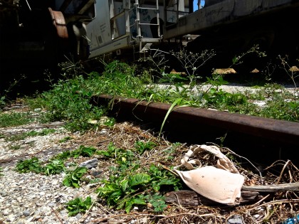Arriaga- One half of a bra is seen at the tracks in Arriaga where the notorious train, La Bestia, begins. This is one article of clothing, out of countless, found along the route. August 3rd, 2015 photo by Janice Amaya